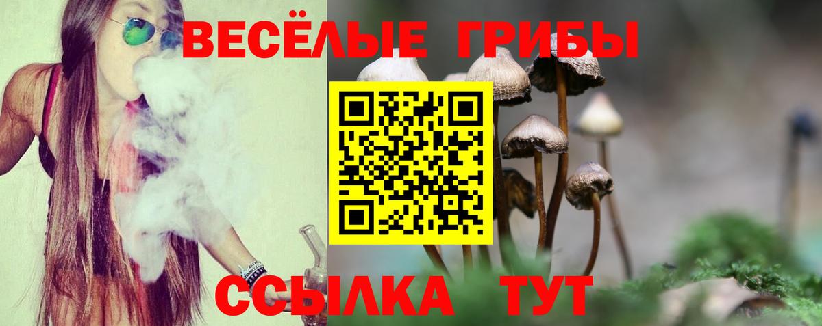 Псилоцибиновые грибы мицелий Старый Оскол