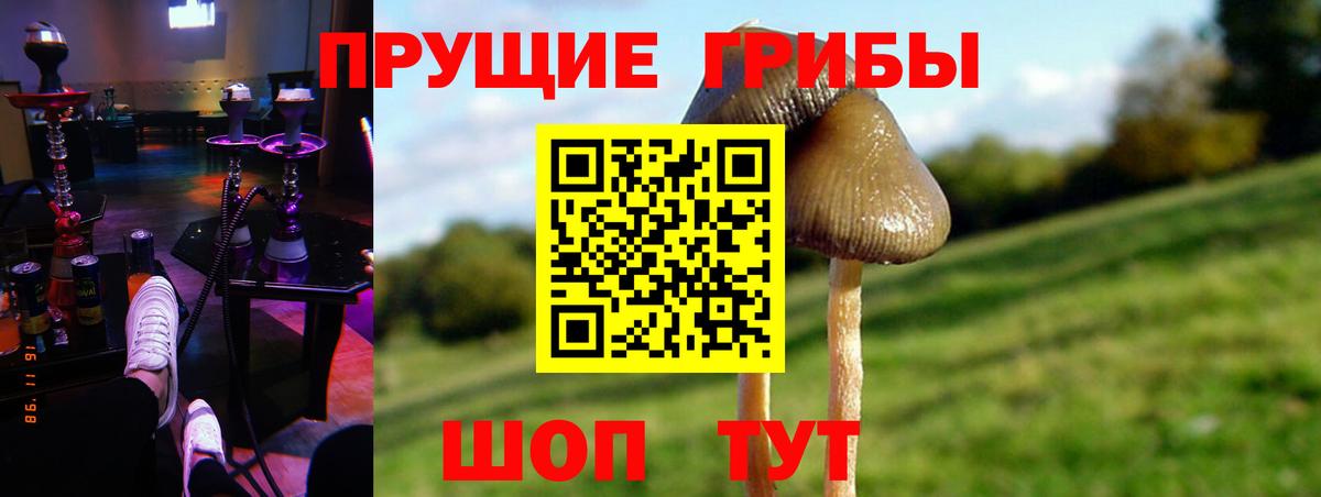 Галлюциногенные грибы Psilocybine cubensis  Галлюциногенные грибы ЛСД  Старый Оскол  Вход с VPN 